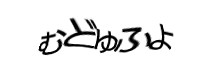 Authentication image